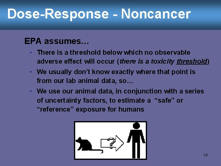 Dose-Response - Noncancer EPA assumes… • There is a threshold below which no observable