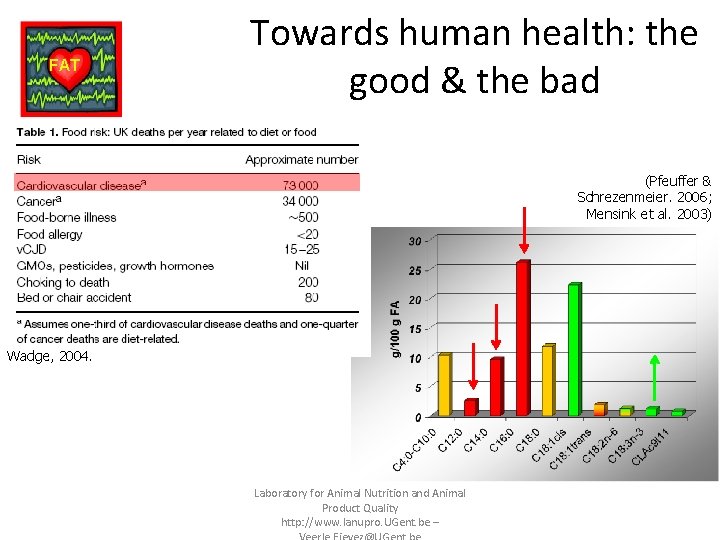 FAT Towards human health: the good & the bad (Pfeuffer & Schrezenmeier. 2006; Mensink
