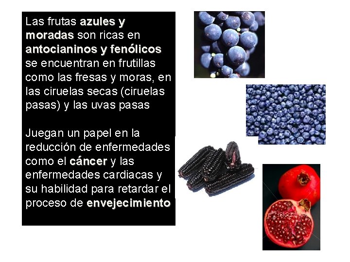 Las frutas azules y moradas son ricas en antocianinos y fenólicos se encuentran en