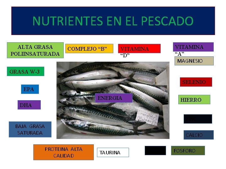 NUTRIENTES EN EL PESCADO ALTA GRASA POLIINSATURADA COMPLEJO “B” VITAMINA “D” VITAMINA “A” MAGNESIO