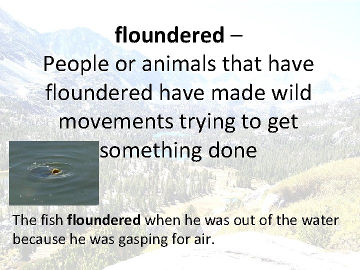 floundered – People or animals that have floundered have made wild movements trying to