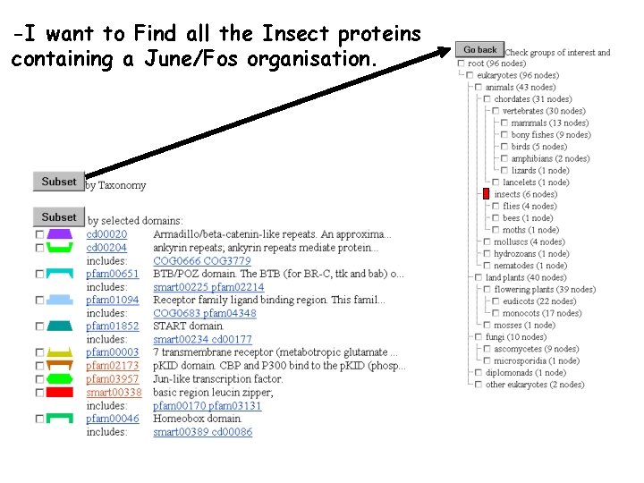 -I want to Find all the Insect proteins containing a June/Fos organisation. 
