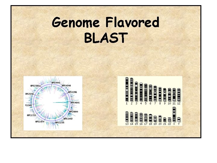 Genome Flavored BLAST 