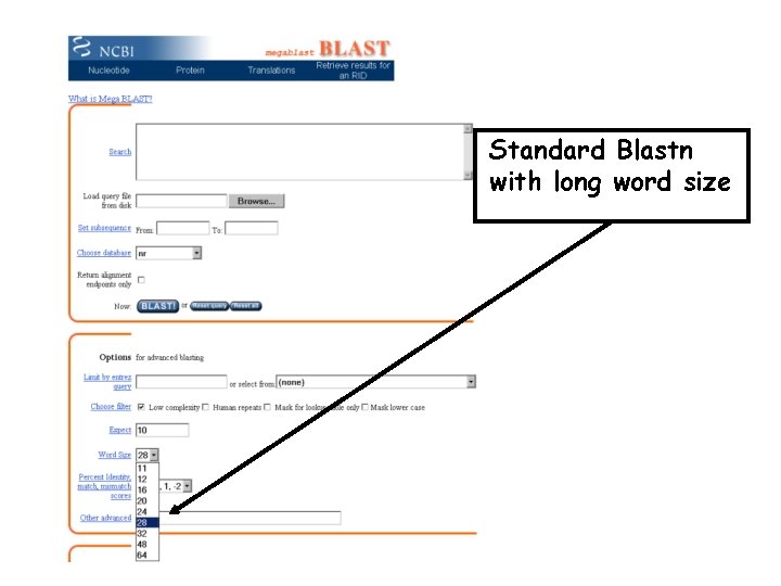 Standard Blastn with long word size 