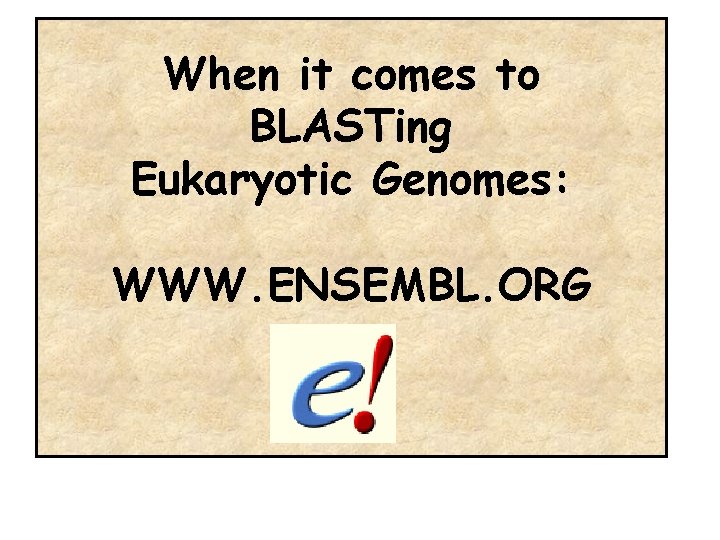 When it comes to BLASTing Eukaryotic Genomes: WWW. ENSEMBL. ORG 