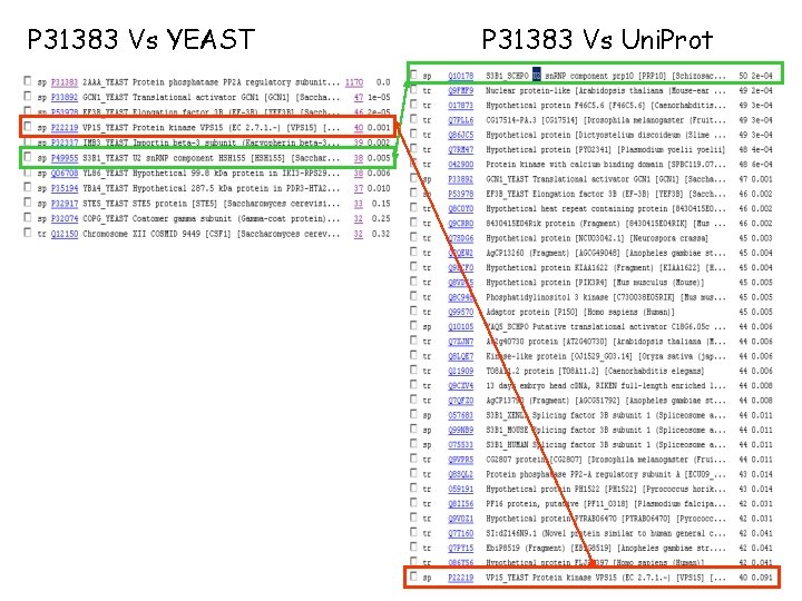 P 31383 Vs YEAST P 31383 Vs Uni. Prot 