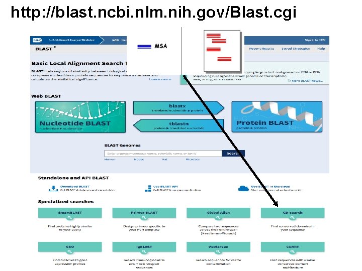 http: //blast. ncbi. nlm. nih. gov/Blast. cgi 