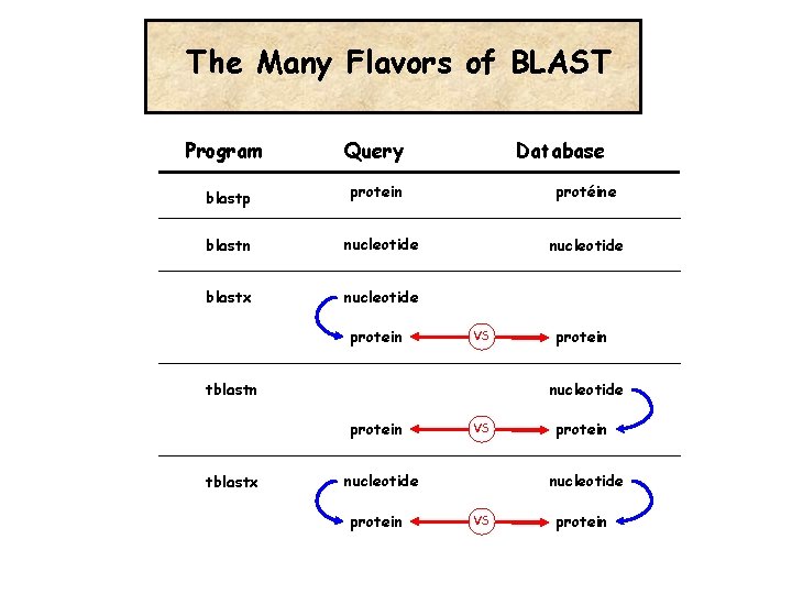 The Many Flavors of BLAST Program Query blastp protein blastn nucleotide blastx nucleotide protein