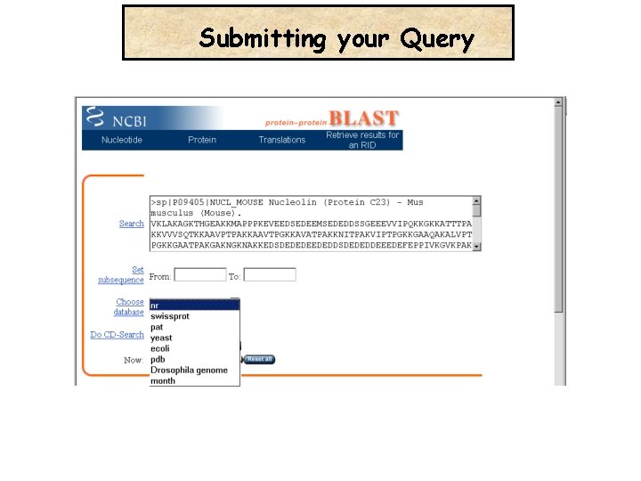 Submitting your Query 