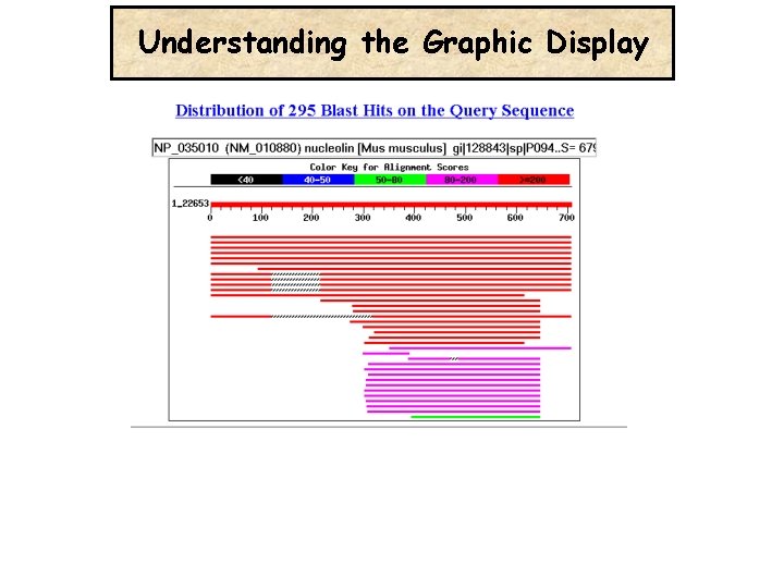 Understanding the Graphic Display 