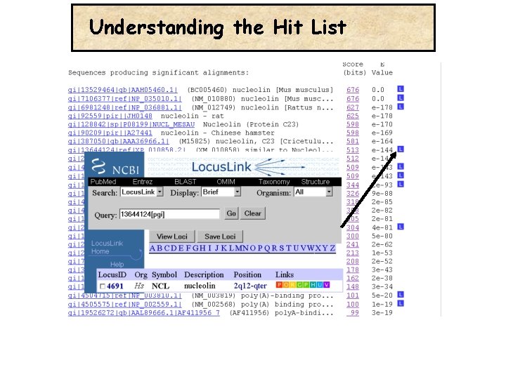 Understanding the Hit List 