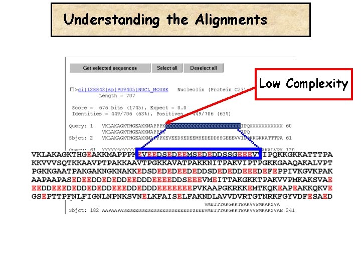Understanding the Alignments Low Complexity 