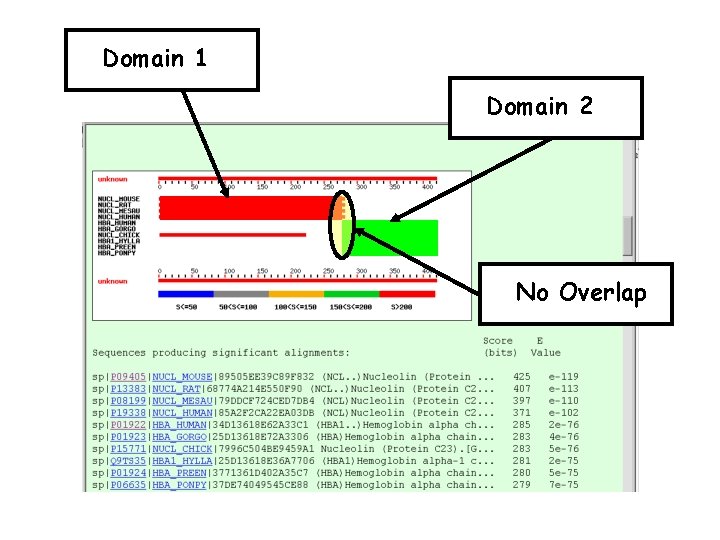 Domain 1 Domain 2 No Overlap 