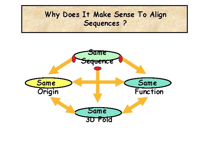Why Does It Make Sense To Align Sequences ? Same Sequence Same Origin Same