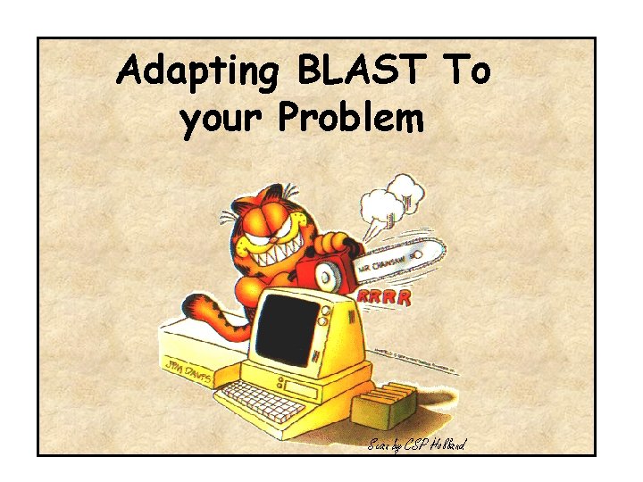 Adapting BLAST To your Problem 