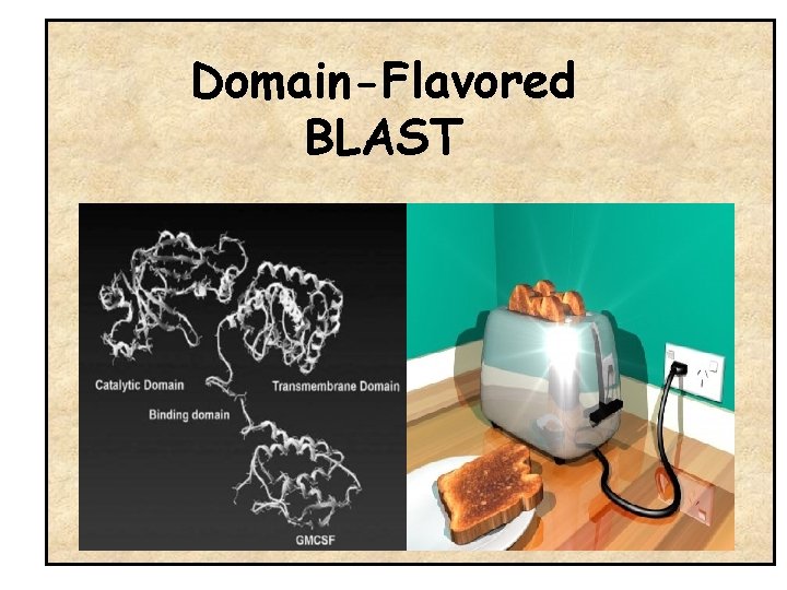 Domain-Flavored BLAST 