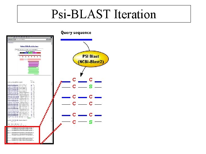 Psi-BLAST Iteration C C CC S C CC C C S 