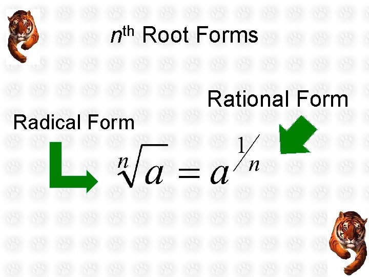nth Root Forms Radical Form Rational Form 