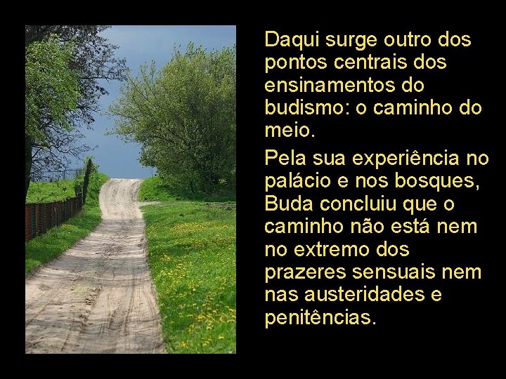 Daqui surge outro dos pontos centrais dos ensinamentos do budismo: o caminho do meio.