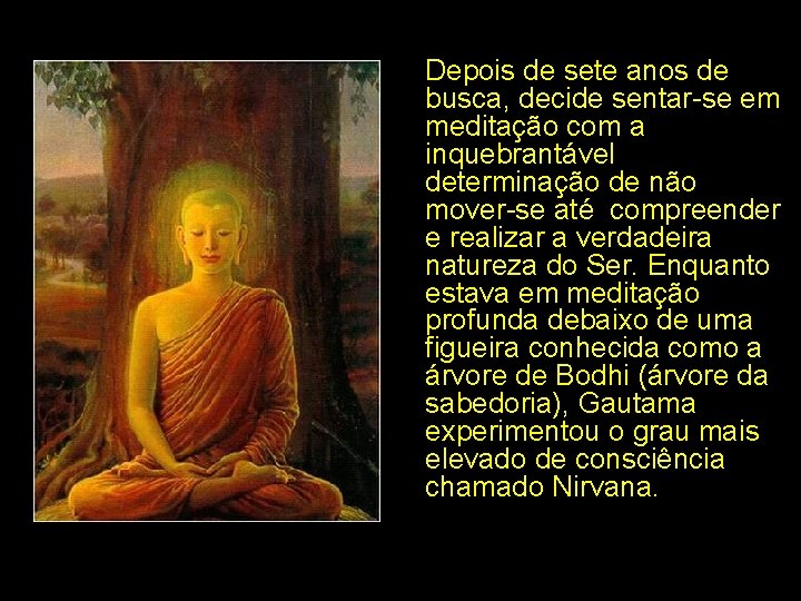 Depois de sete anos de busca, decide sentar-se em meditação com a inquebrantável determinação