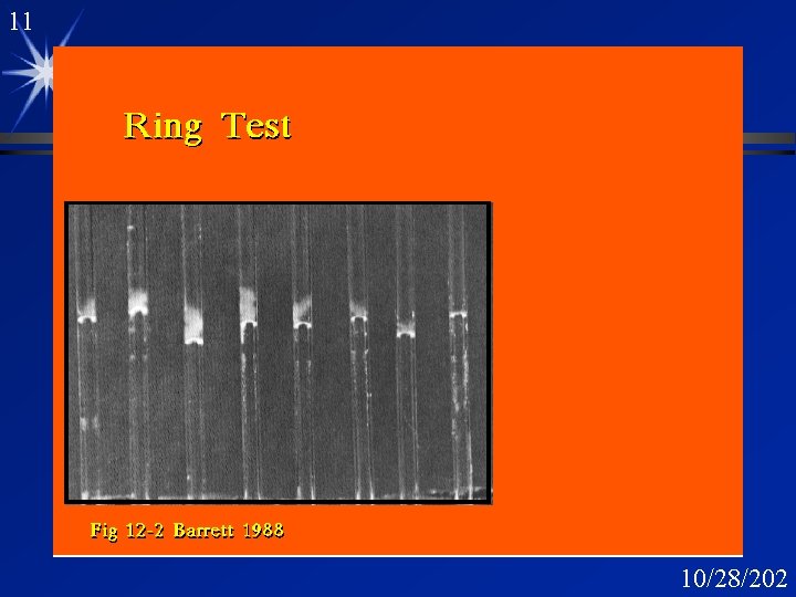 11 C reactive Protein ring test 10/28/202 