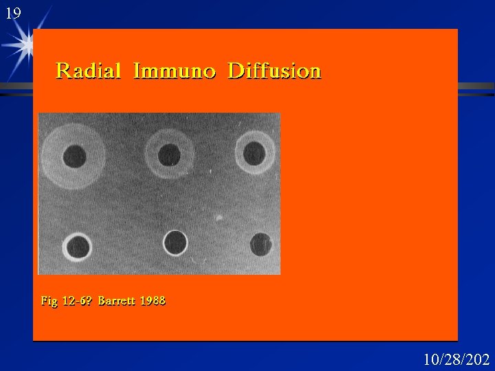 19 Radial Immuno Diffusion 10/28/202 