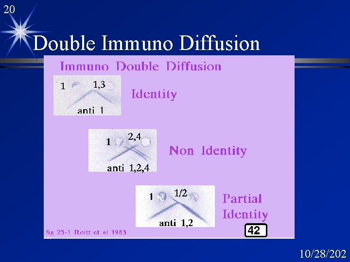 20 Double Immuno Diffusion 10/28/202 