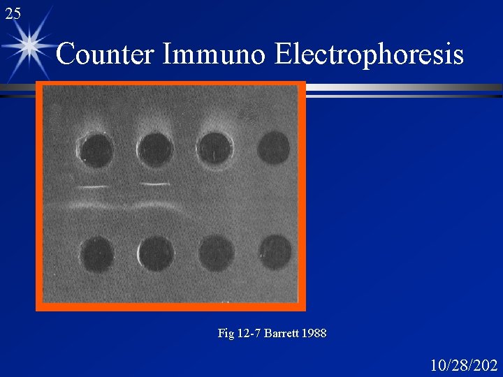 25 Counter Immuno Electrophoresis Fig 12 -7 Barrett 1988 10/28/202 