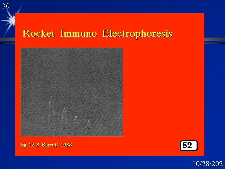 30 Rocket Immunoelectrophoresis 10/28/202 