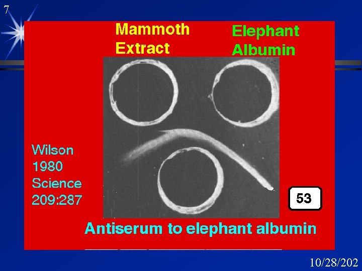 7 Mammoth 10/28/202 