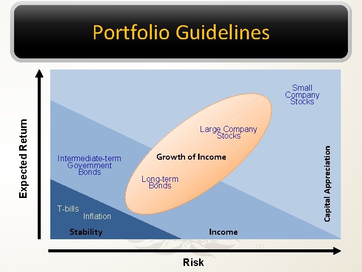 Portfolio Guidelines Large Company Stocks Intermediate-term Government Bonds T-bills Growth of Income Long-term Bonds