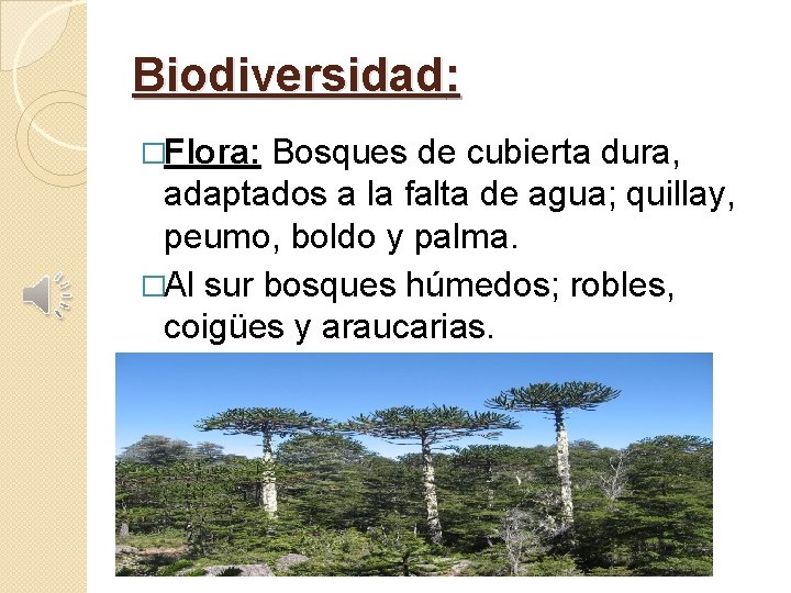 Biodiversidad: �Flora: Bosques de cubierta dura, adaptados a la falta de agua; quillay, peumo,