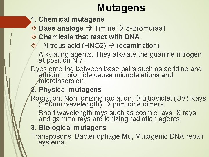 Mutagens 1. Chemical mutagens Base analogs Timine 5 -Bromurasil Chemicals that react with DNA