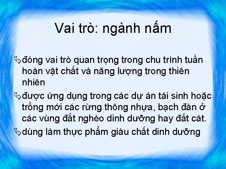 Vai trò: ngành nấm Äđóng vai trò quan trọng trong chu trình tuần hoàn