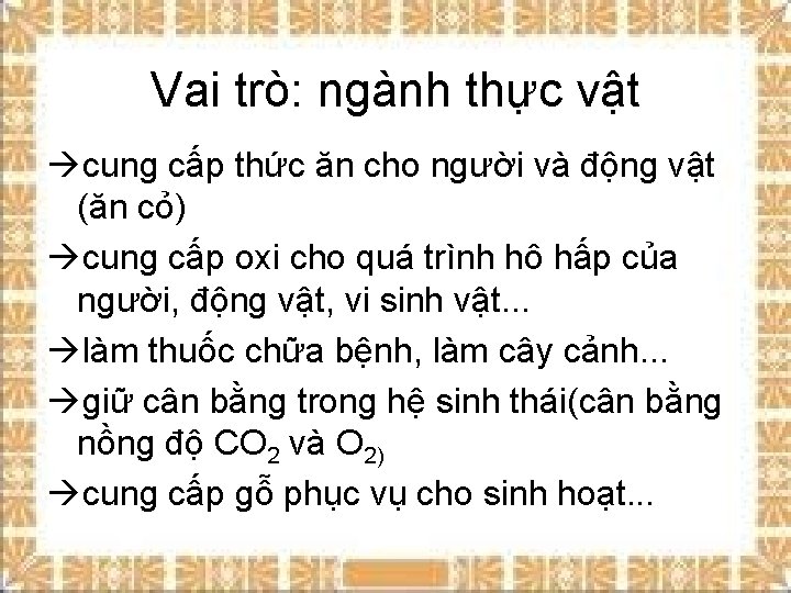 Vai trò: ngành thực vật àcung cấp thức ăn cho người và động vật
