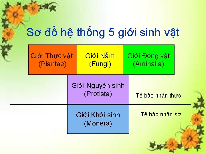 Sơ đồ hệ thống 5 giới sinh vật Giới Thực vật (Plantae) Giới Nấm