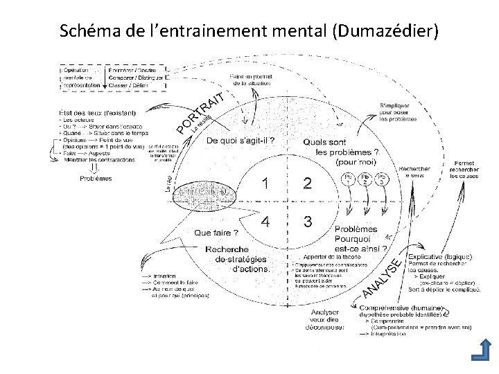 Schéma de l’entrainemental (Dumazédier) 