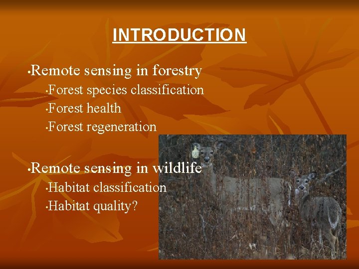 INTRODUCTION Remote sensing in forestry • Forest species classification • Forest health • Forest