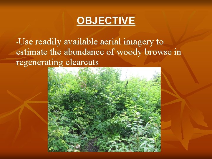 OBJECTIVE Use readily available aerial imagery to estimate the abundance of woody browse in