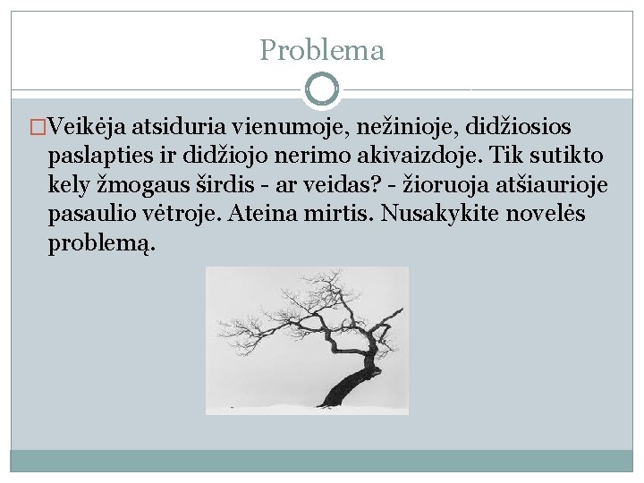Problema �Veikėja atsiduria vienumoje, nežinioje, didžiosios paslapties ir didžiojo nerimo akivaizdoje. Tik sutikto kely