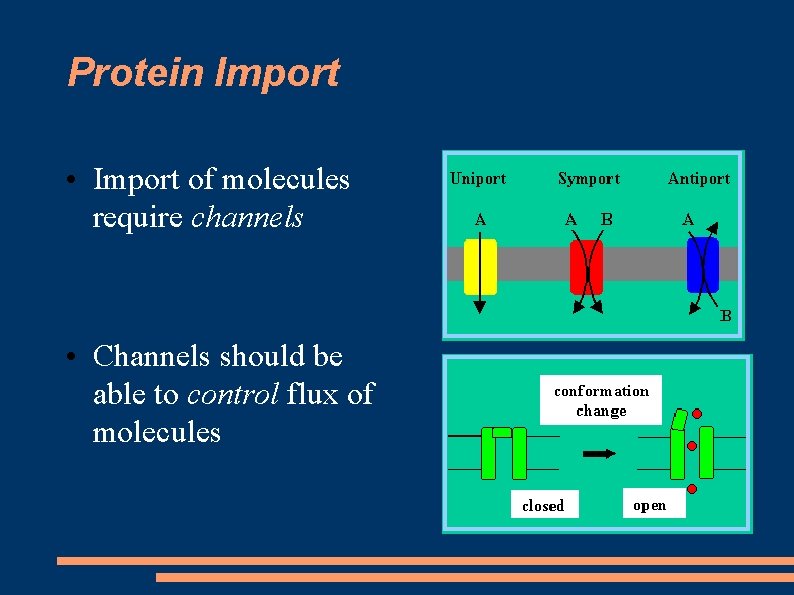 Protein Import • Import of molecules require channels • Channels should be able to