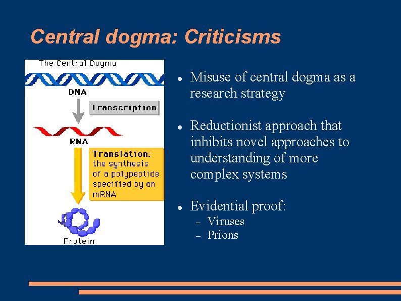 Central dogma: Criticisms Misuse of central dogma as a research strategy Reductionist approach that