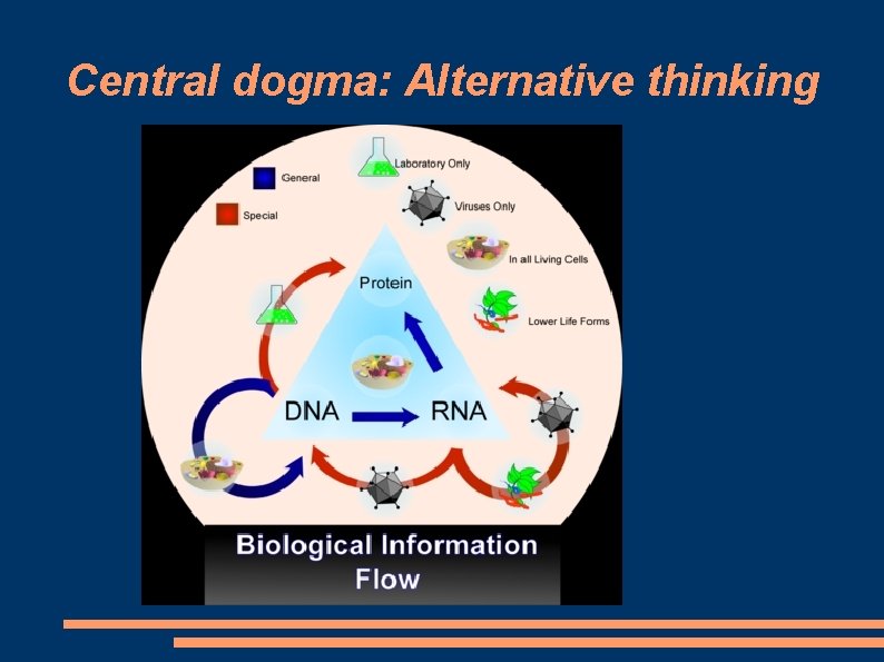 Central dogma: Alternative thinking 