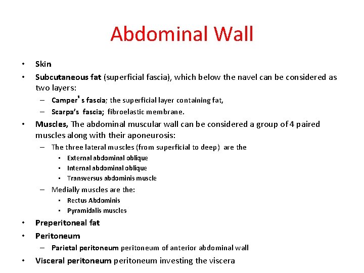 Abdominal Wall • • Skin Subcutaneous fat (superficial fascia), which below the navel can