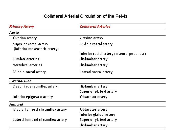 Collateral Arterial Circulation of the Pelvis Primary Artery Aorta Ovarian artery Superior rectal artery