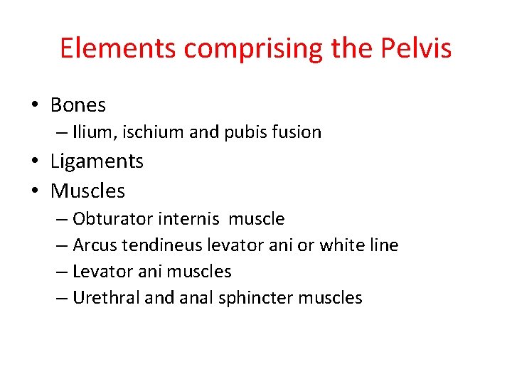 Elements comprising the Pelvis • Bones – Ilium, ischium and pubis fusion • Ligaments