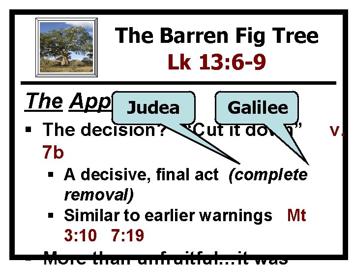 The Barren Fig Tree Lk 13: 6 -9 The Application Judea Galilee § The