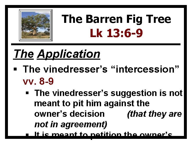 The Barren Fig Tree Lk 13: 6 -9 The Application § The vinedresser’s “intercession”