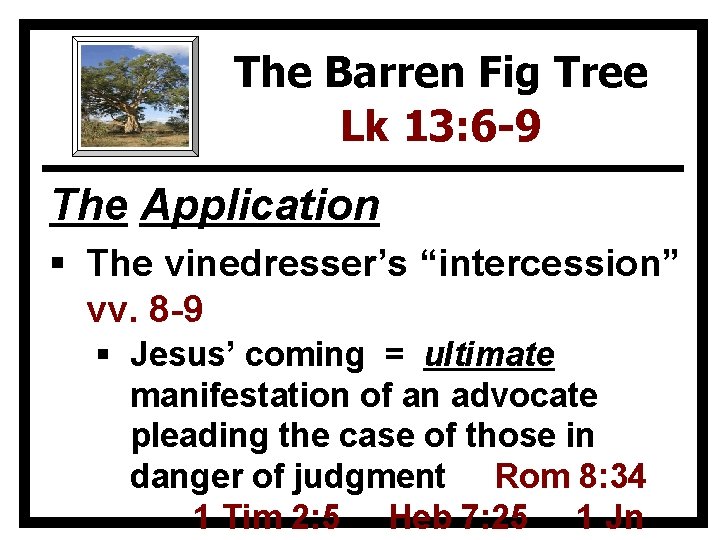 The Barren Fig Tree Lk 13: 6 -9 The Application § The vinedresser’s “intercession”
