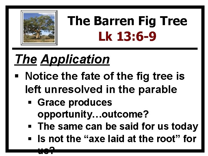 The Barren Fig Tree Lk 13: 6 -9 The Application § Notice the fate